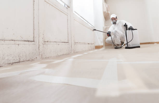 24/7 Emergency Mold Remediation experts in Freeburg, IL